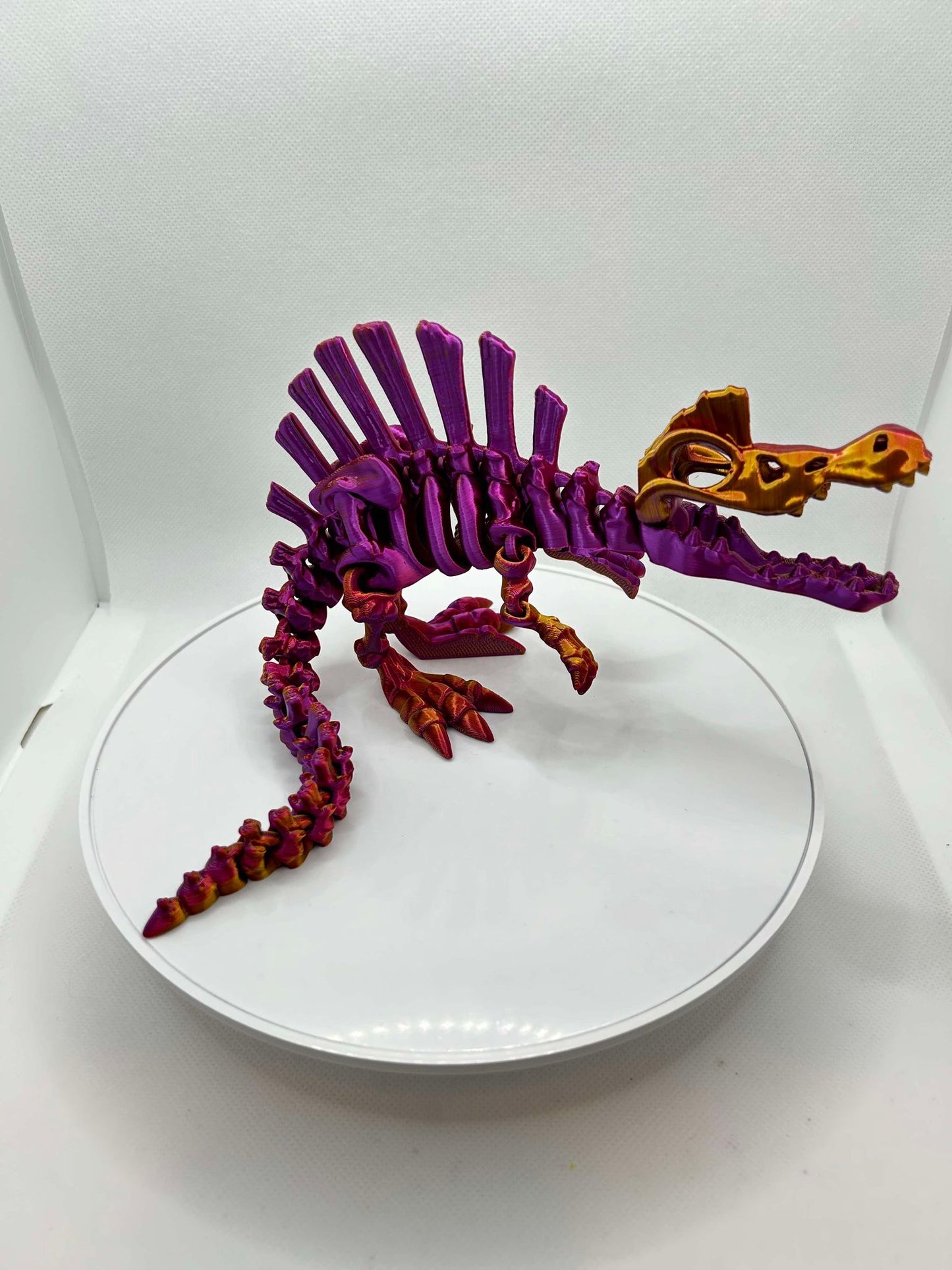 Spinosaurus, Skeleton dinosaur, 3d printed dino, ottawa, orleans, canada, shipping, coloured