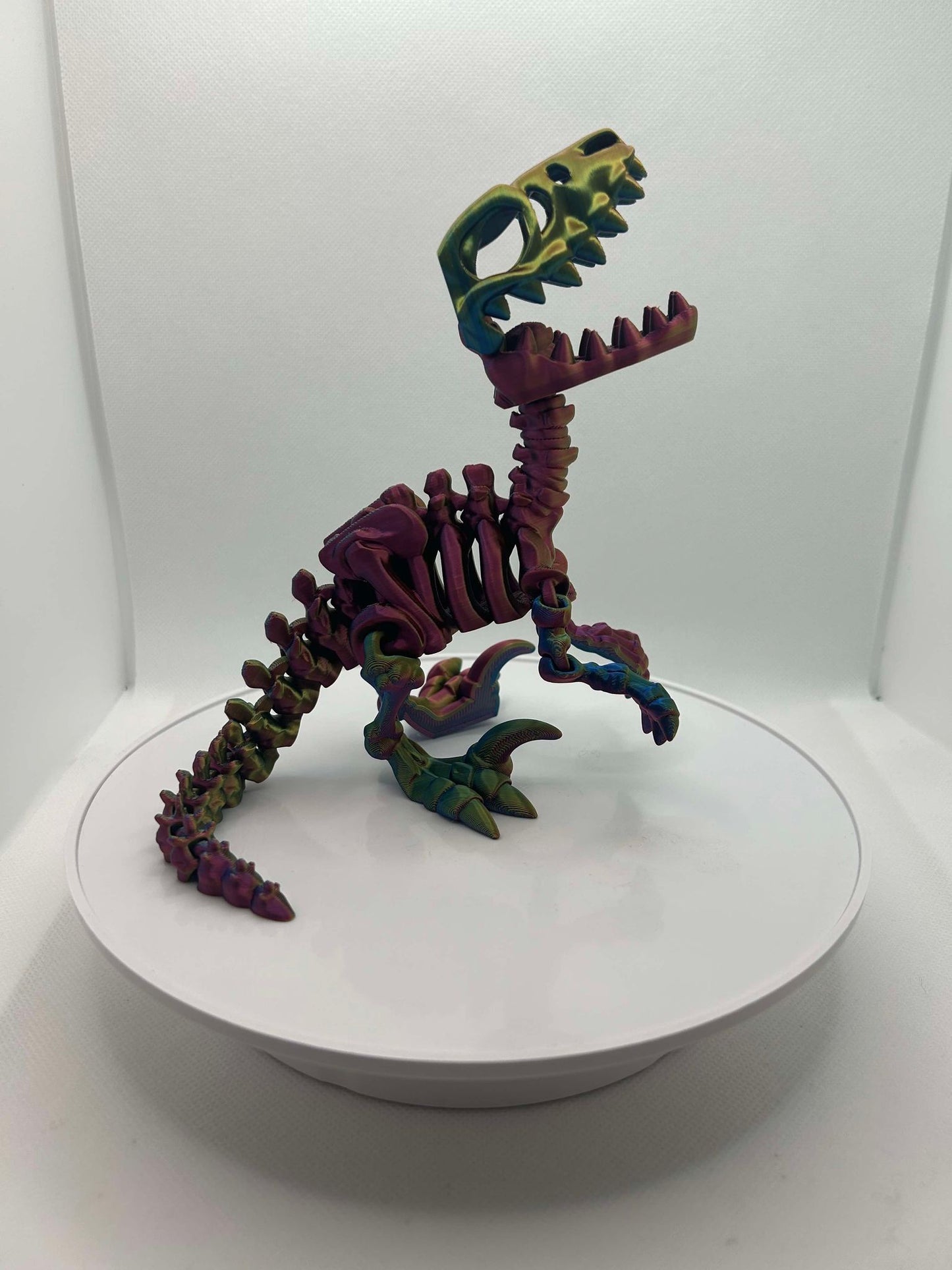 Raptor