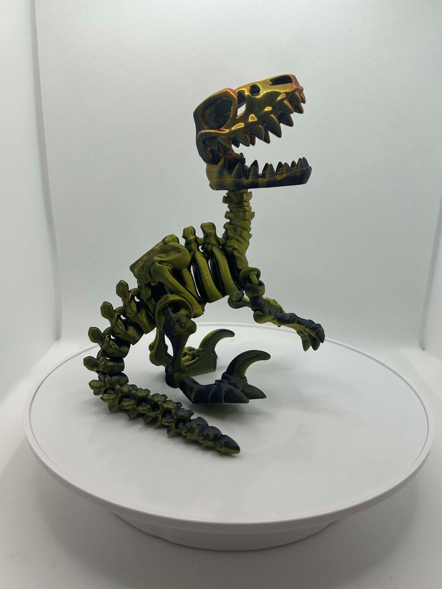 Raptor
