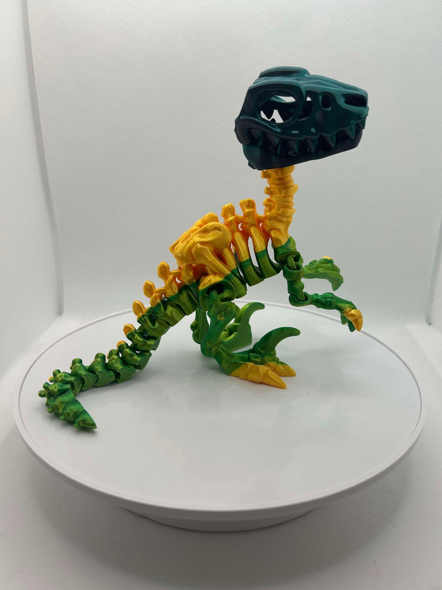 Raptor