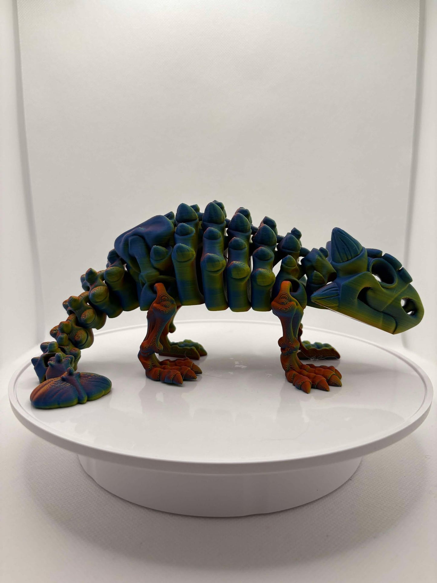 Ankylosaurus, Skeleton dinosaur, 3d printed dino, ottawa, orleans, canada, shipping, coloured