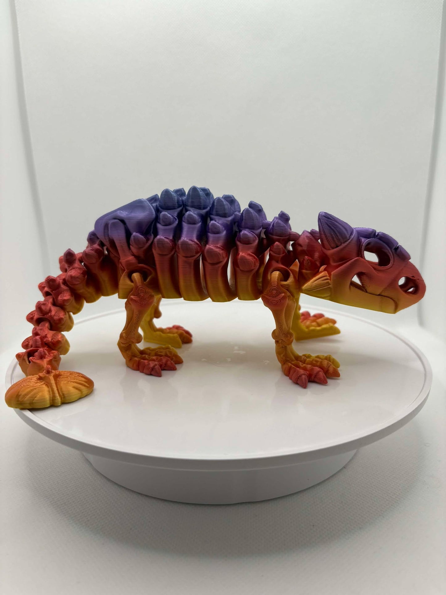 Ankylosaurus, Skeleton dinosaur, 3d printed dino, ottawa, orleans, canada, shipping, coloured