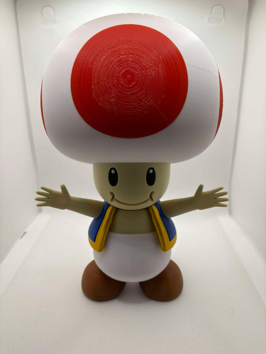 3D printed Super Mario, 3D printed TOAD, Ottawa 3D Prints, Orleans 3D Prints, Cutest 3D Prints