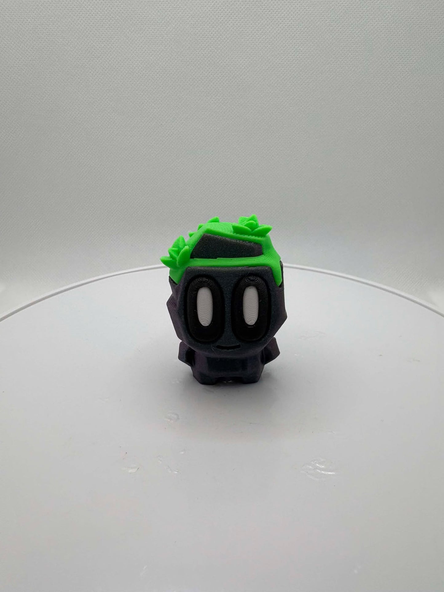 Mossy Pet Rock, Box of Rocks