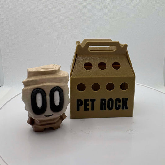 Gneiss Pet Rock, Box of Rocks