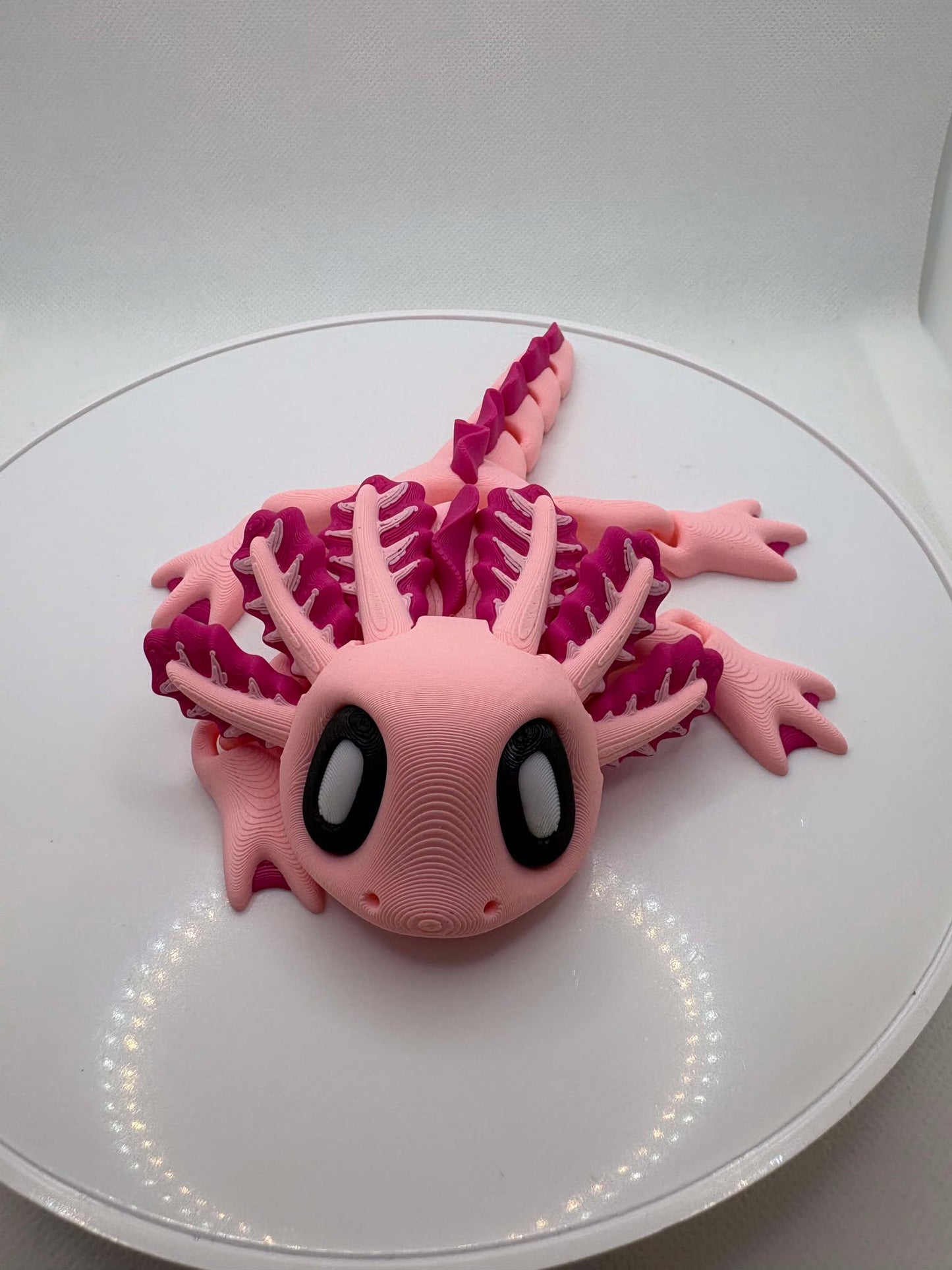 Axolotl - Magnet