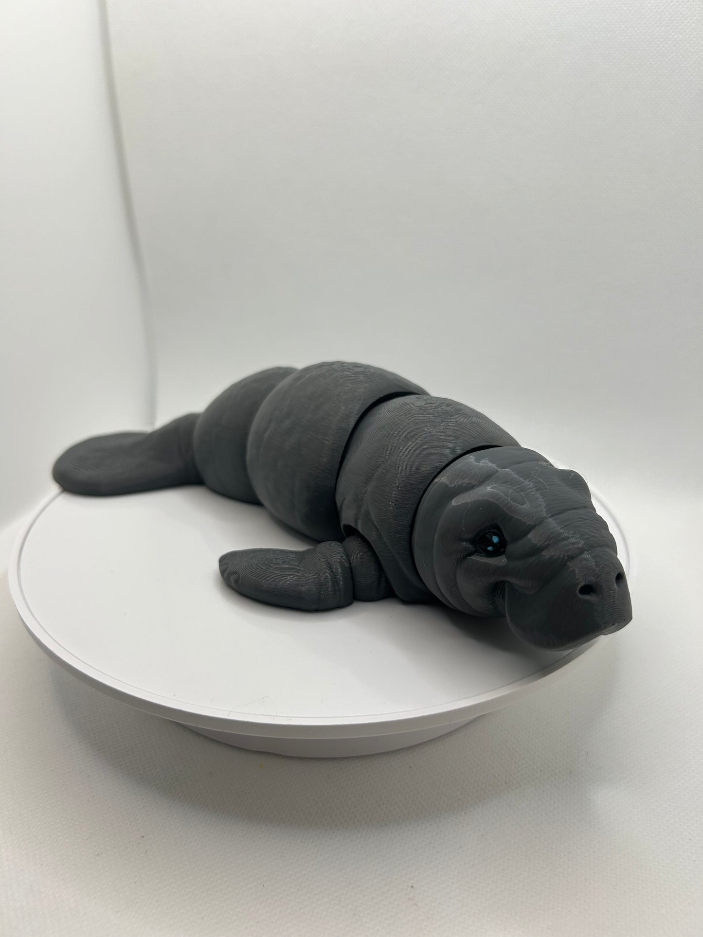 Manatee