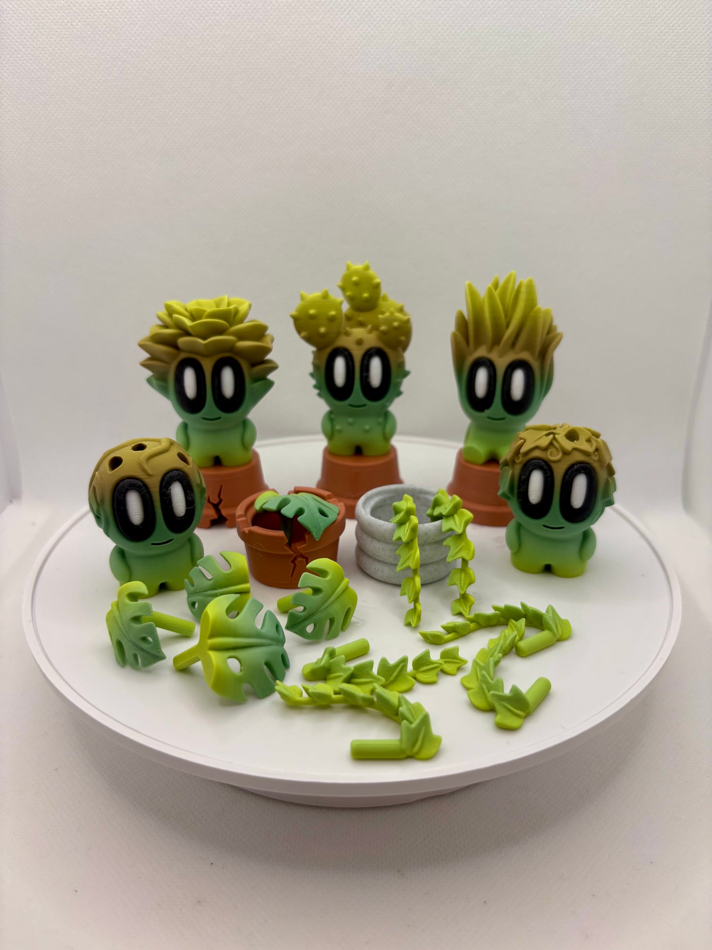 Small - Plant buddies