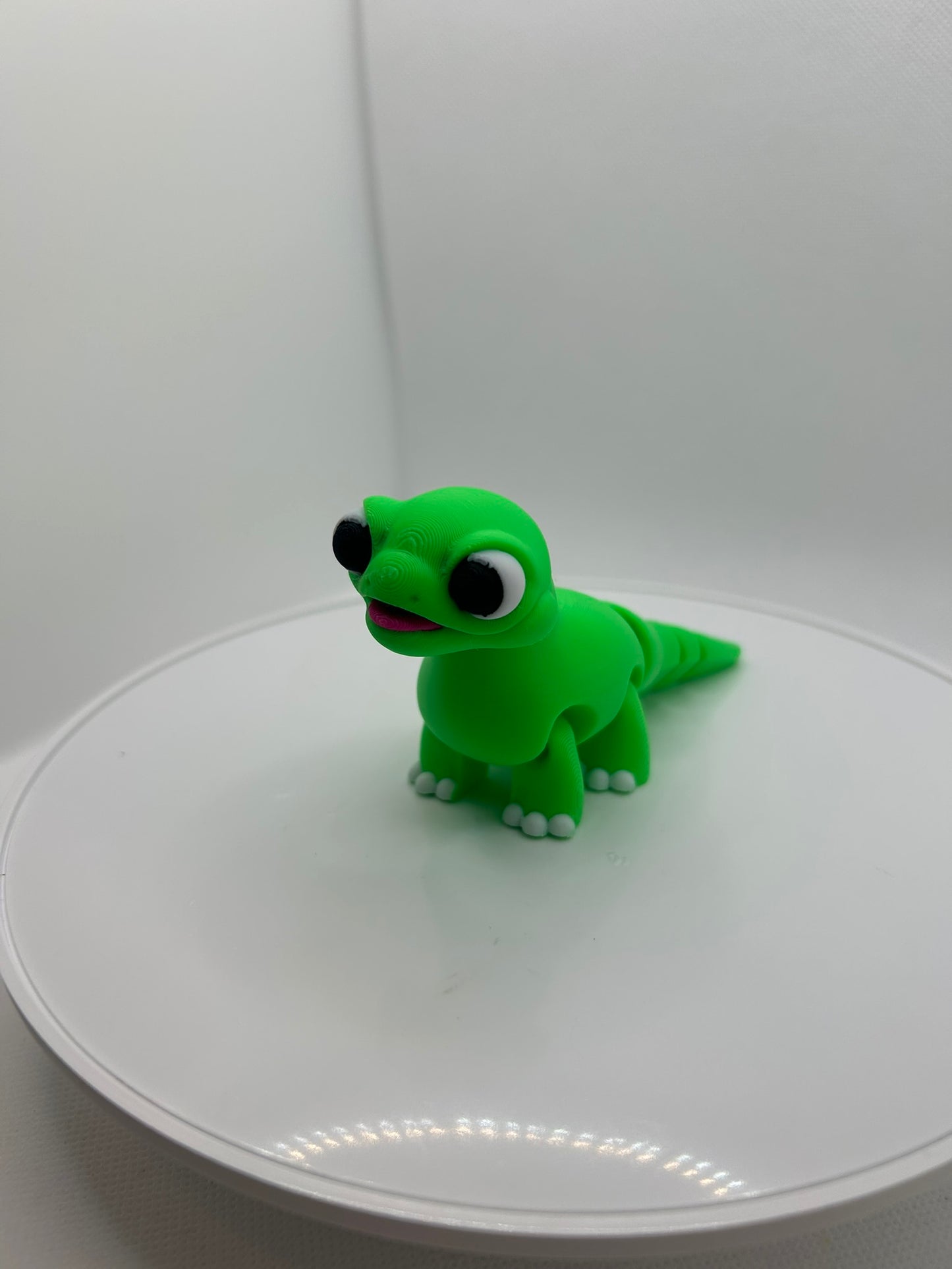 Lizard