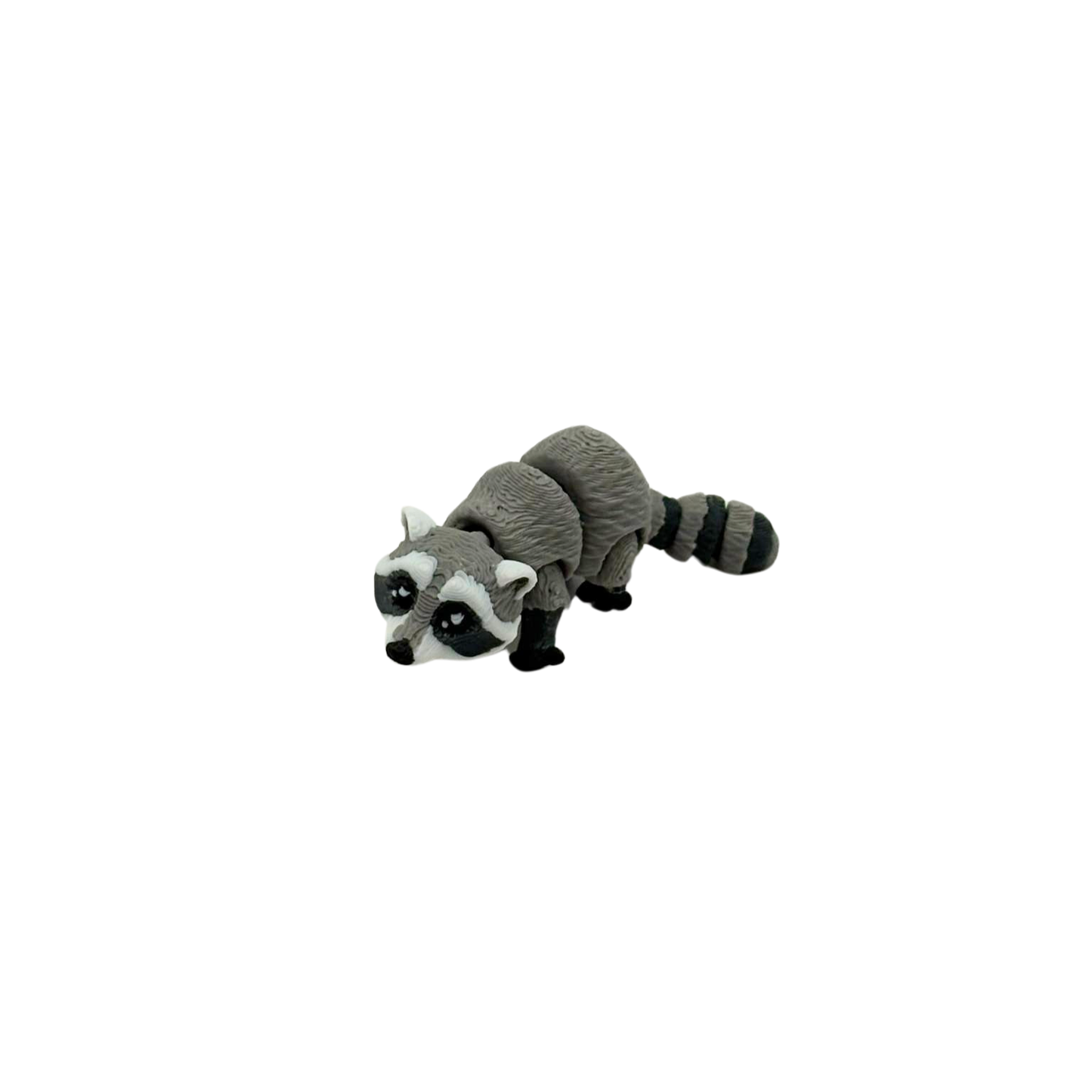 Raccoon