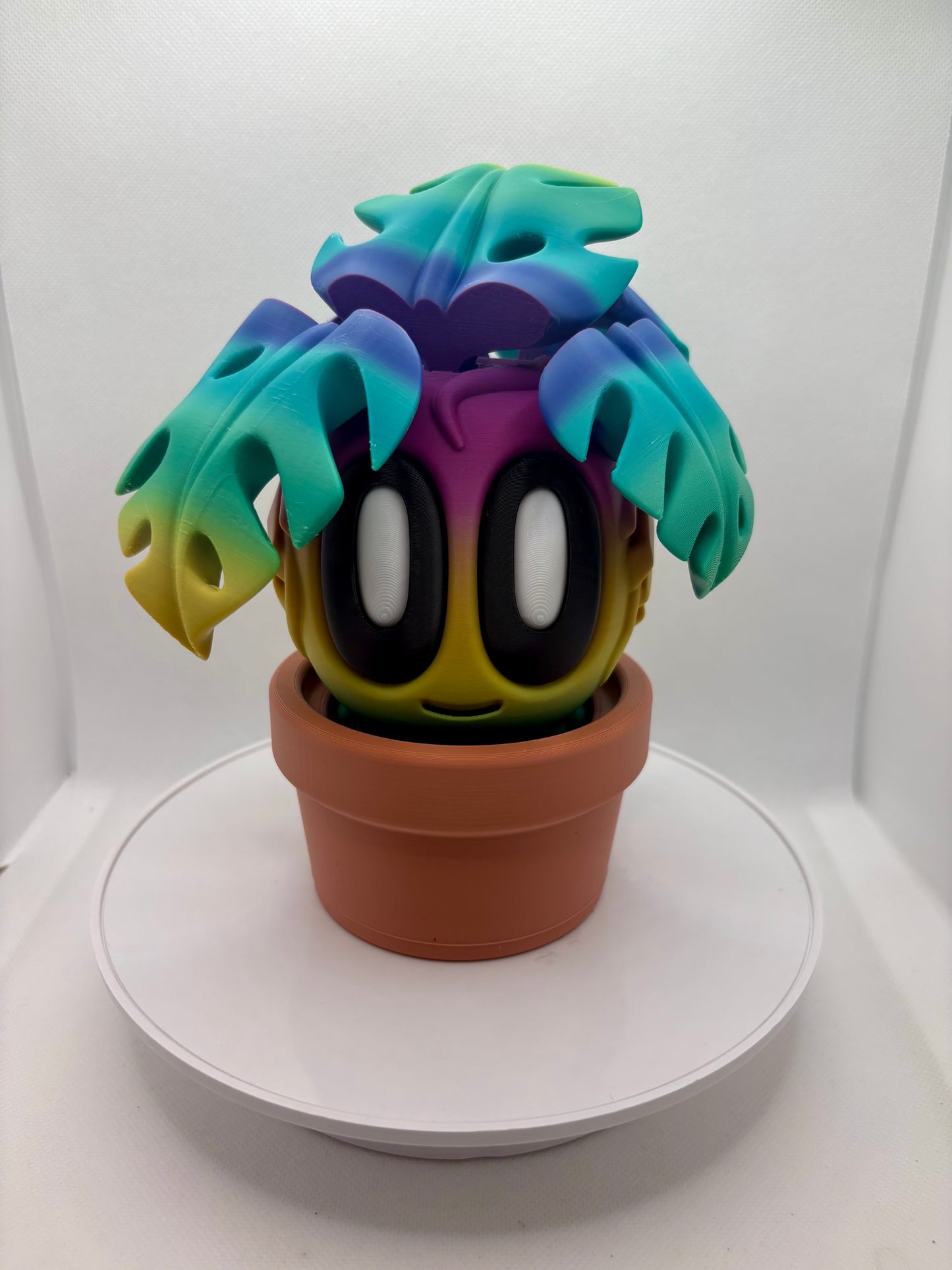 Large - Plant buddies