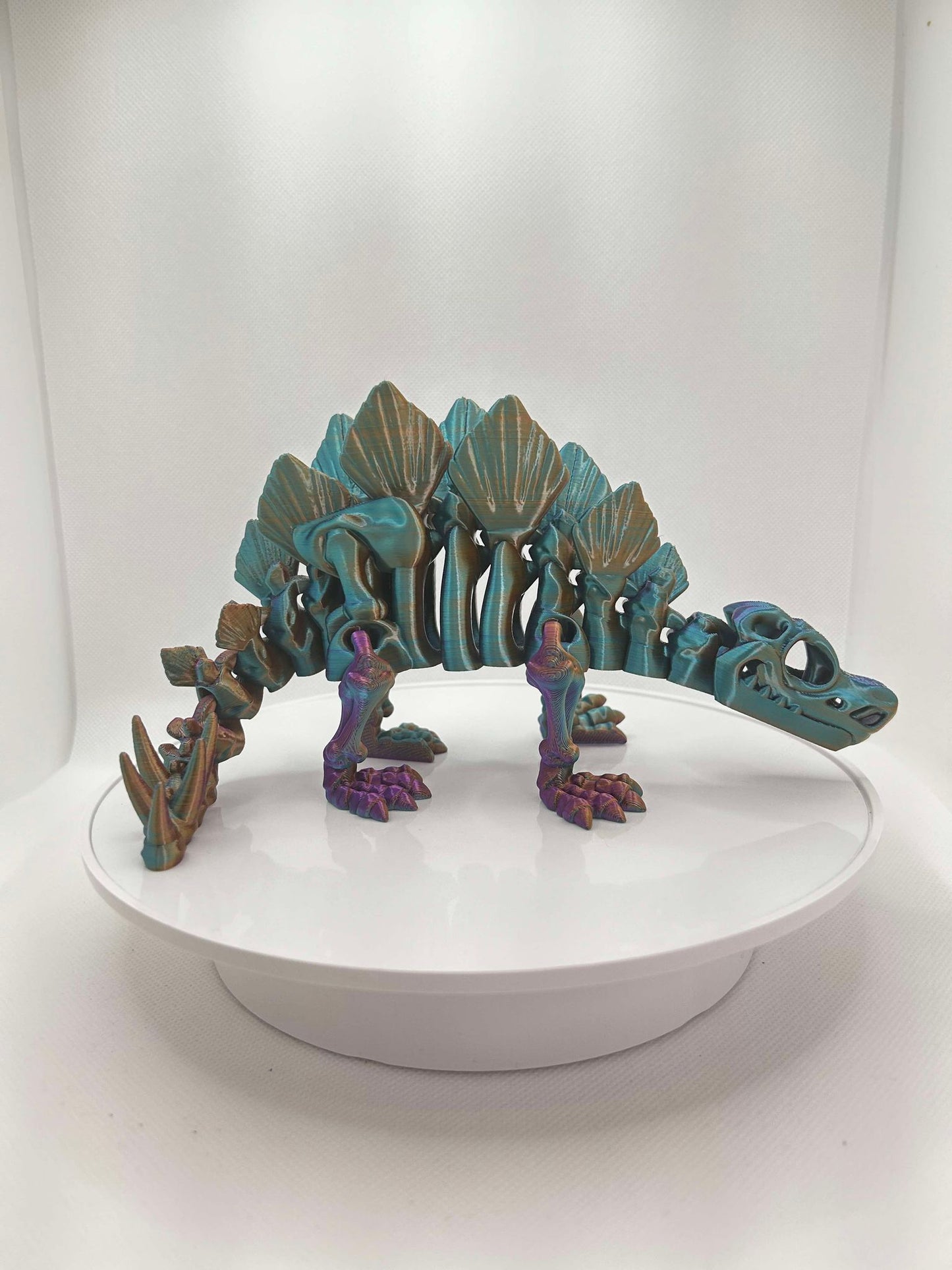 Stegosaurus