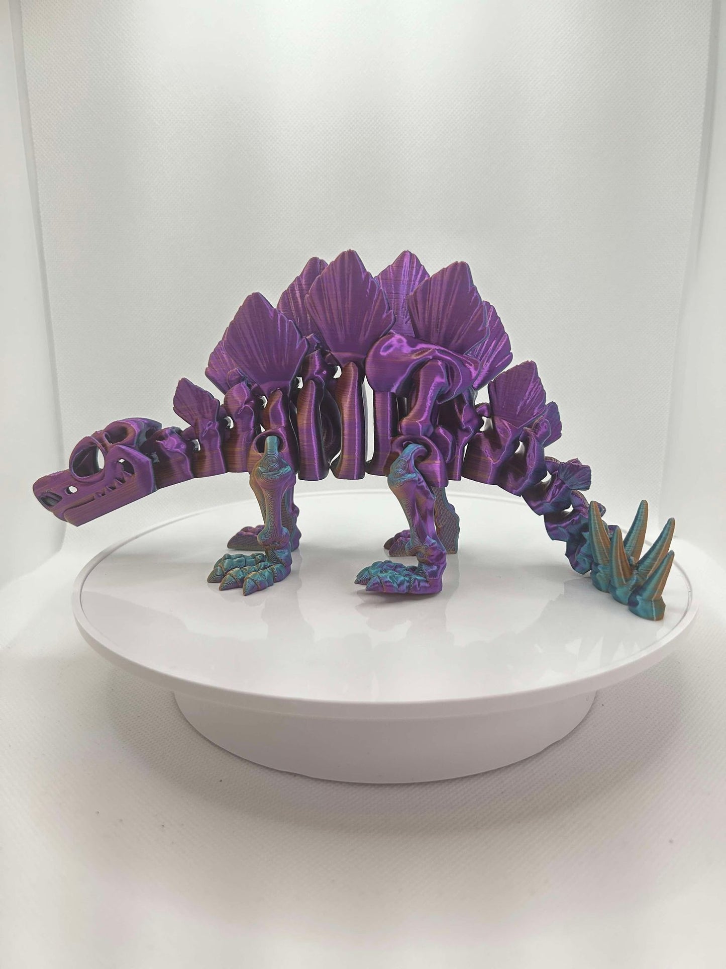 Stegosaurus