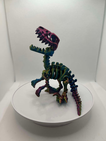 Raptor
