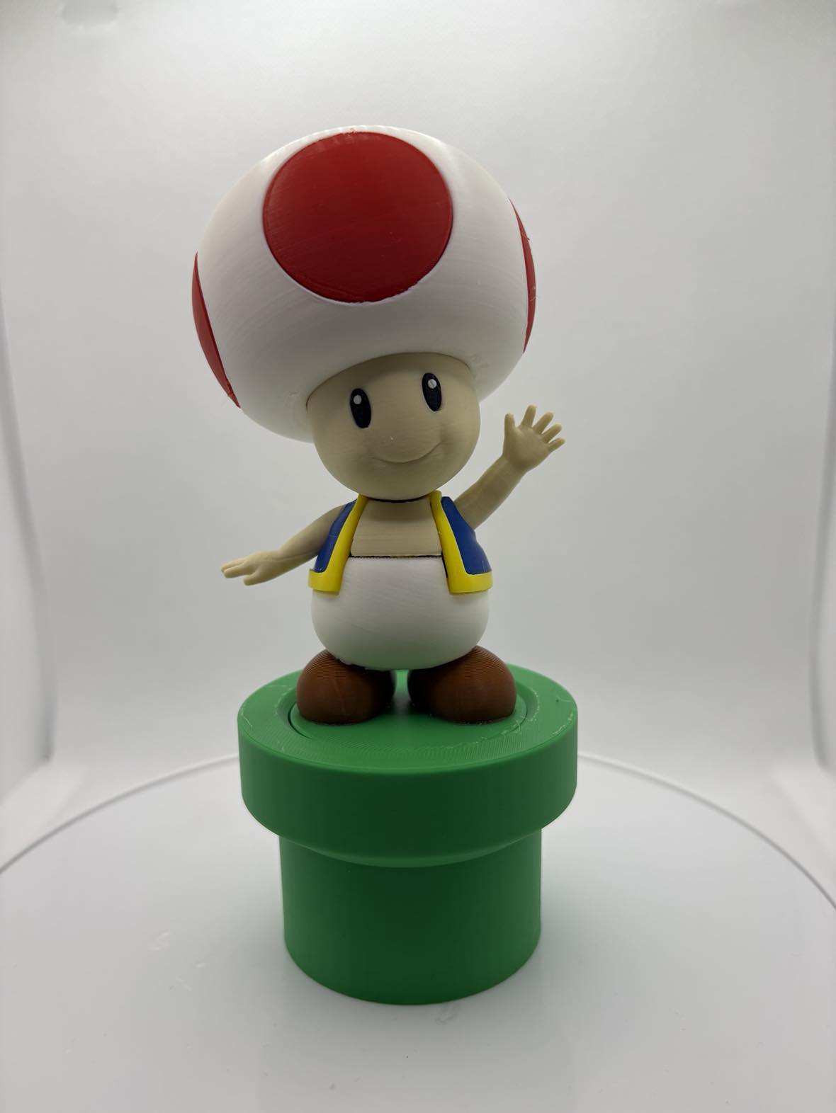 Toad with a tunnel