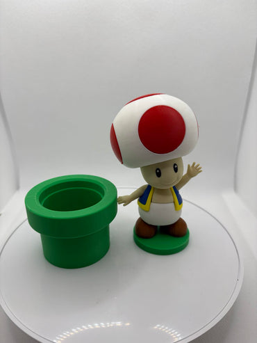 Toad with a tunnel