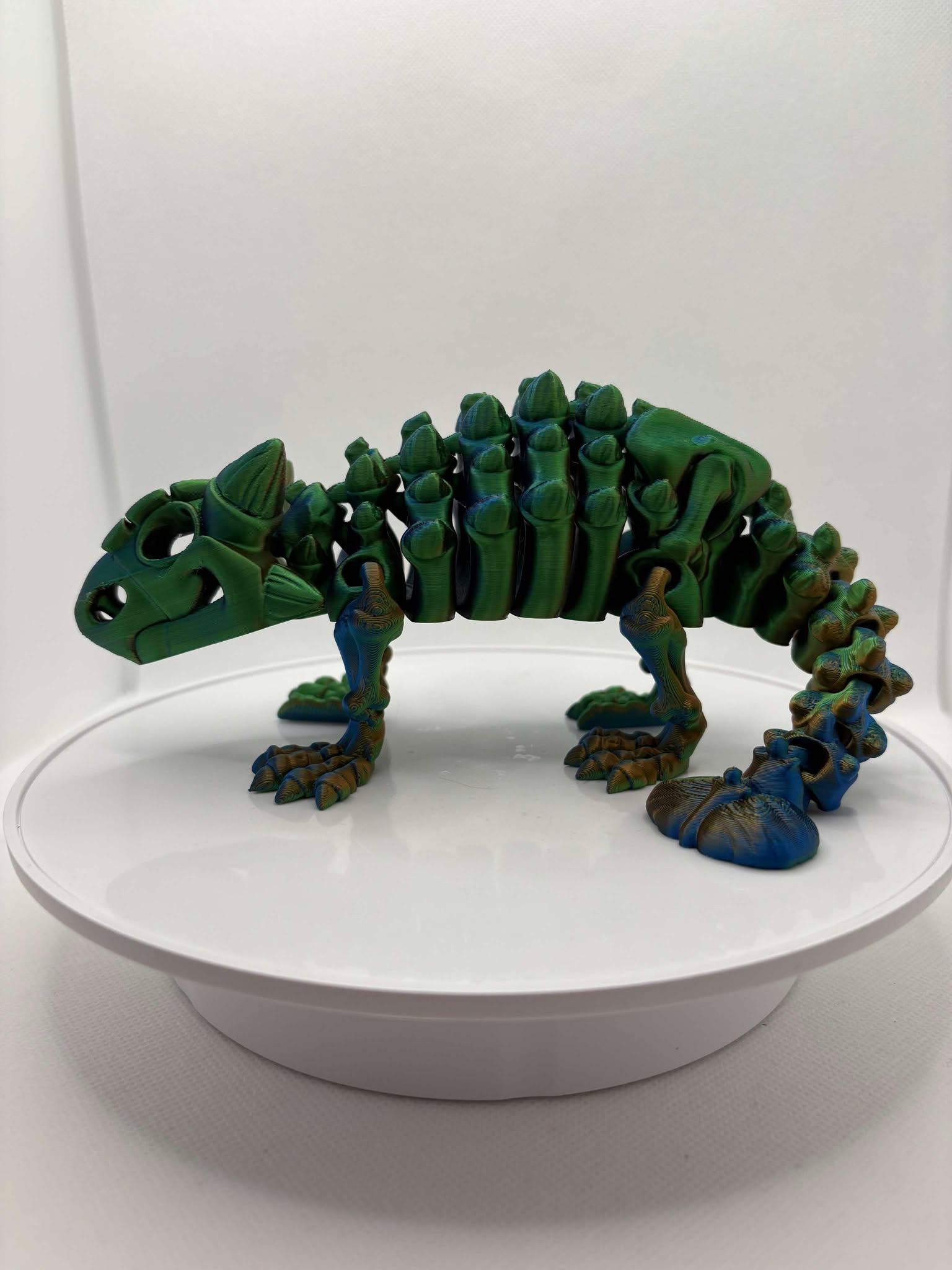 Ankylosaurus, Skeleton dinosaur, 3d printed dino, ottawa, orleans, canada, shipping, coloured