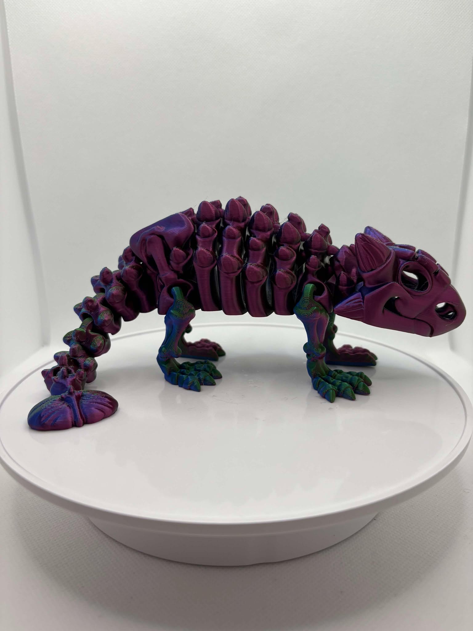 Ankylosaurus, Skeleton dinosaur, 3d printed dino, ottawa, orleans, canada, shipping, coloured