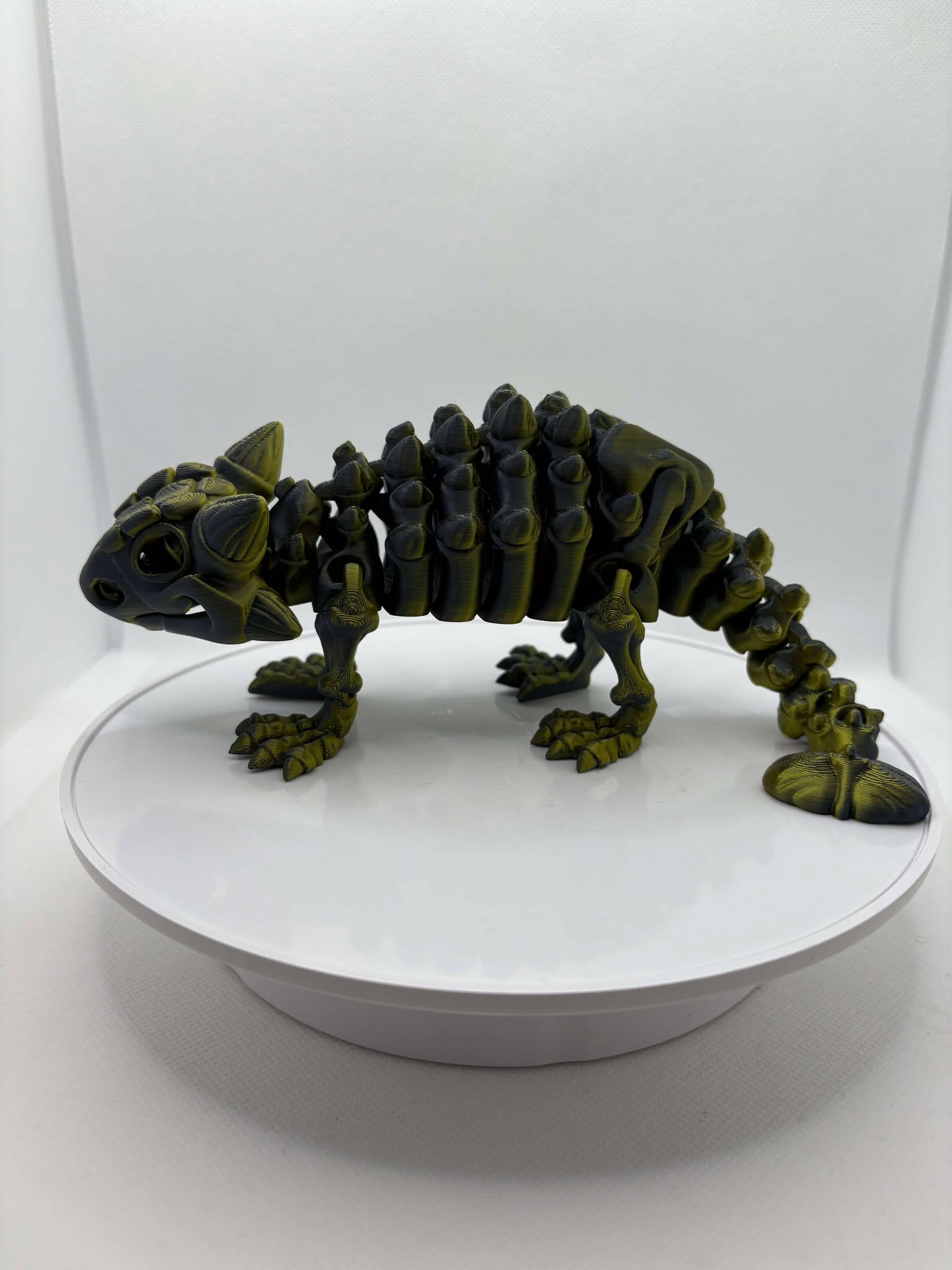 Ankylosaurus, Skeleton dinosaur, 3d printed dino, ottawa, orleans, canada, shipping, coloured
