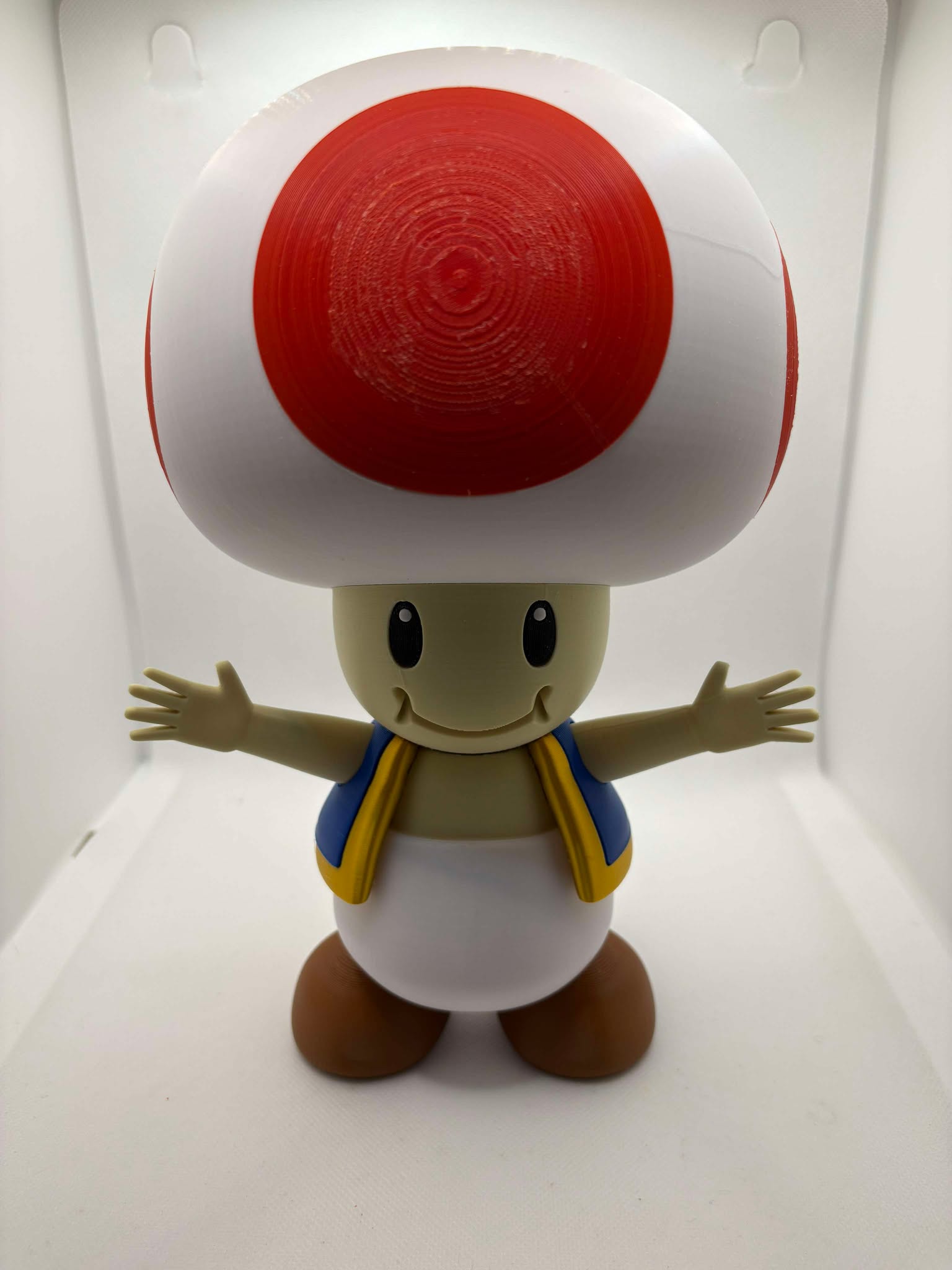 3D printed Super Mario, 3D printed TOAD, Ottawa 3D Prints, Orleans 3D Prints, Cutest 3D Prints