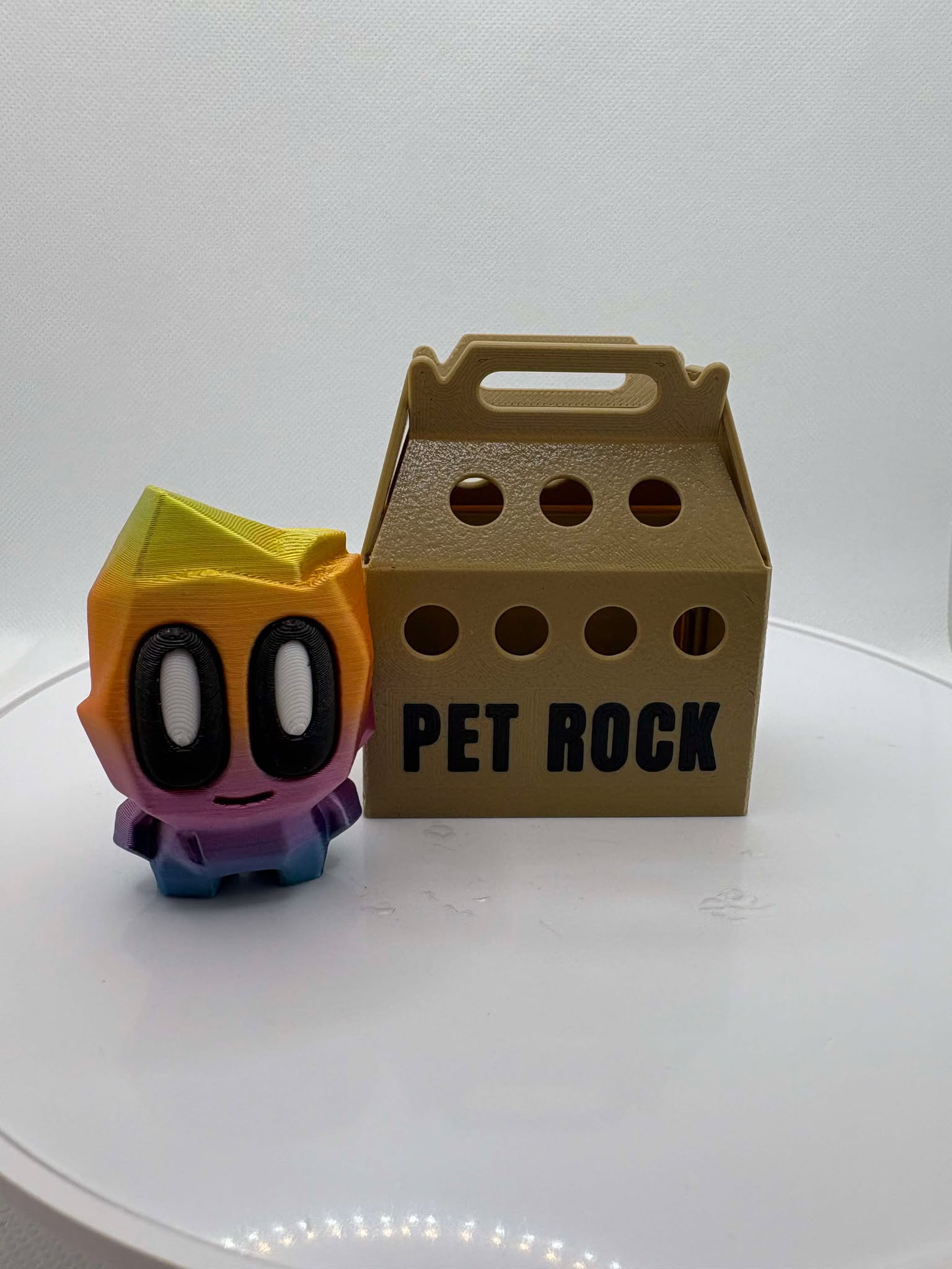 Rainbow Quartz Pet Rock, Box of Rocks