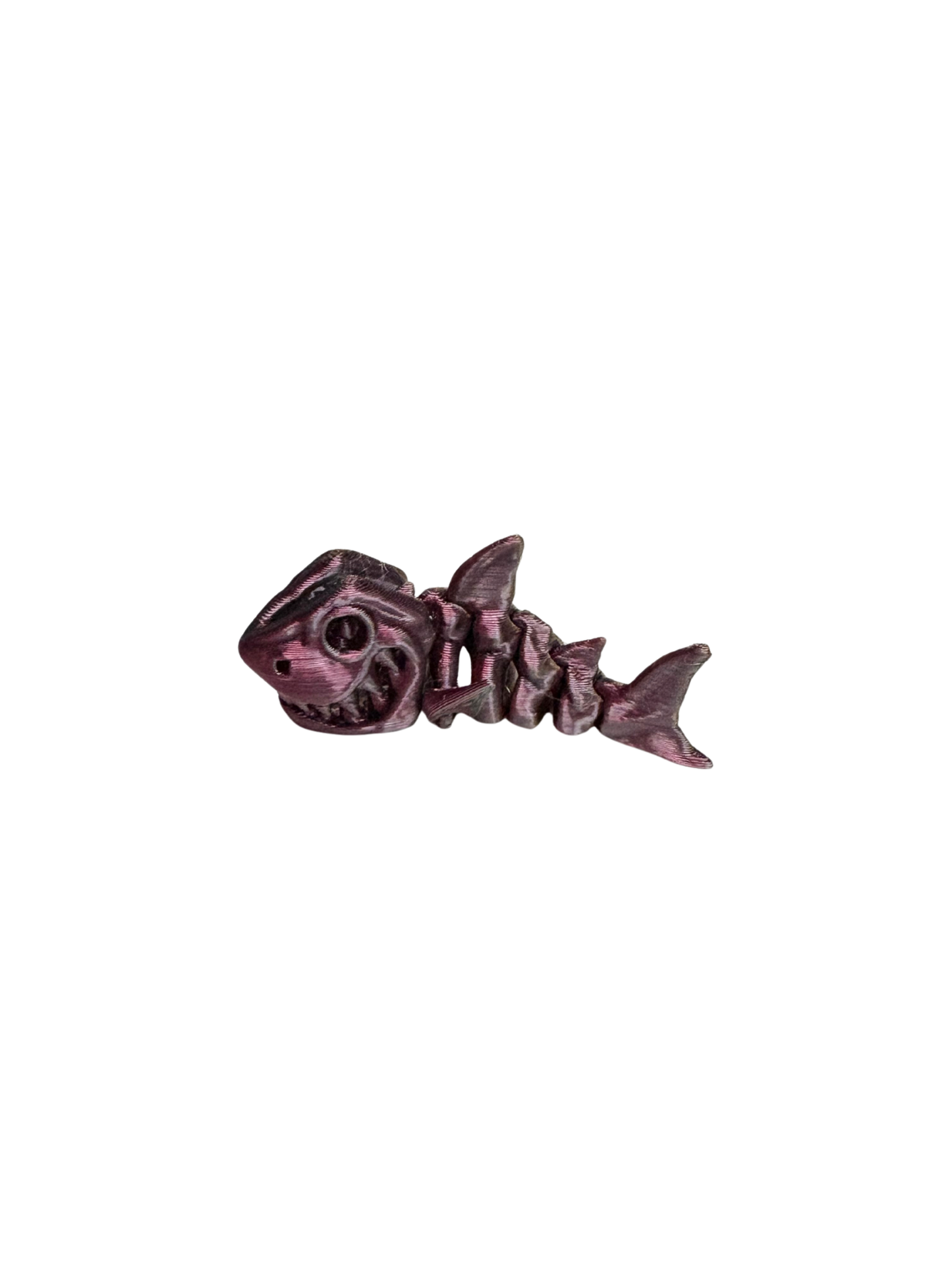 Shark