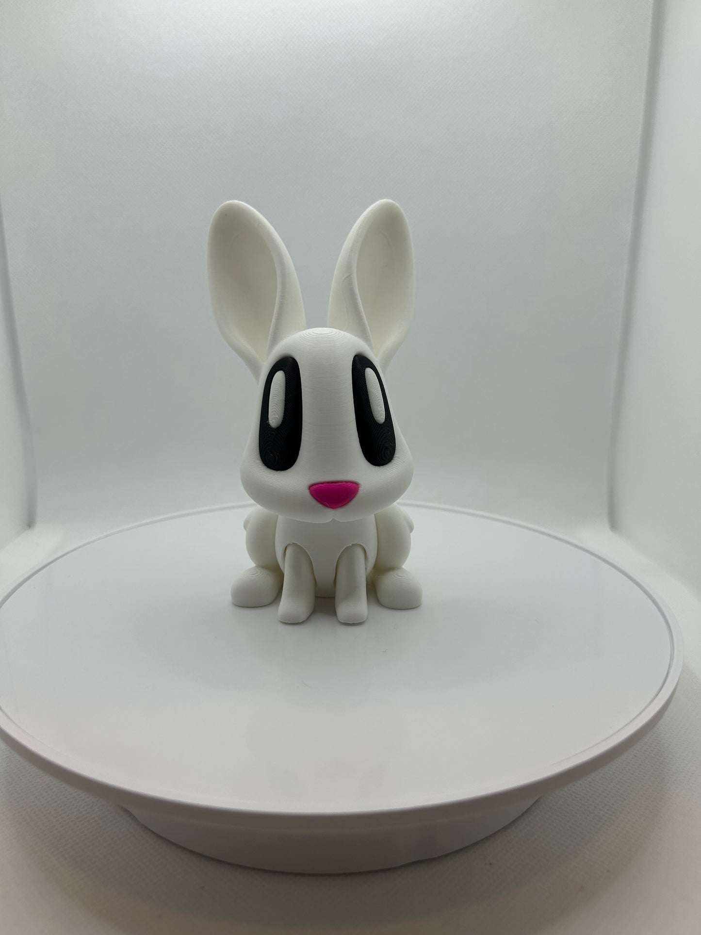 Cutest 3D Printed Bunny, Easter Gift, Amazing 3D Prints, Orleans, Ottawa,