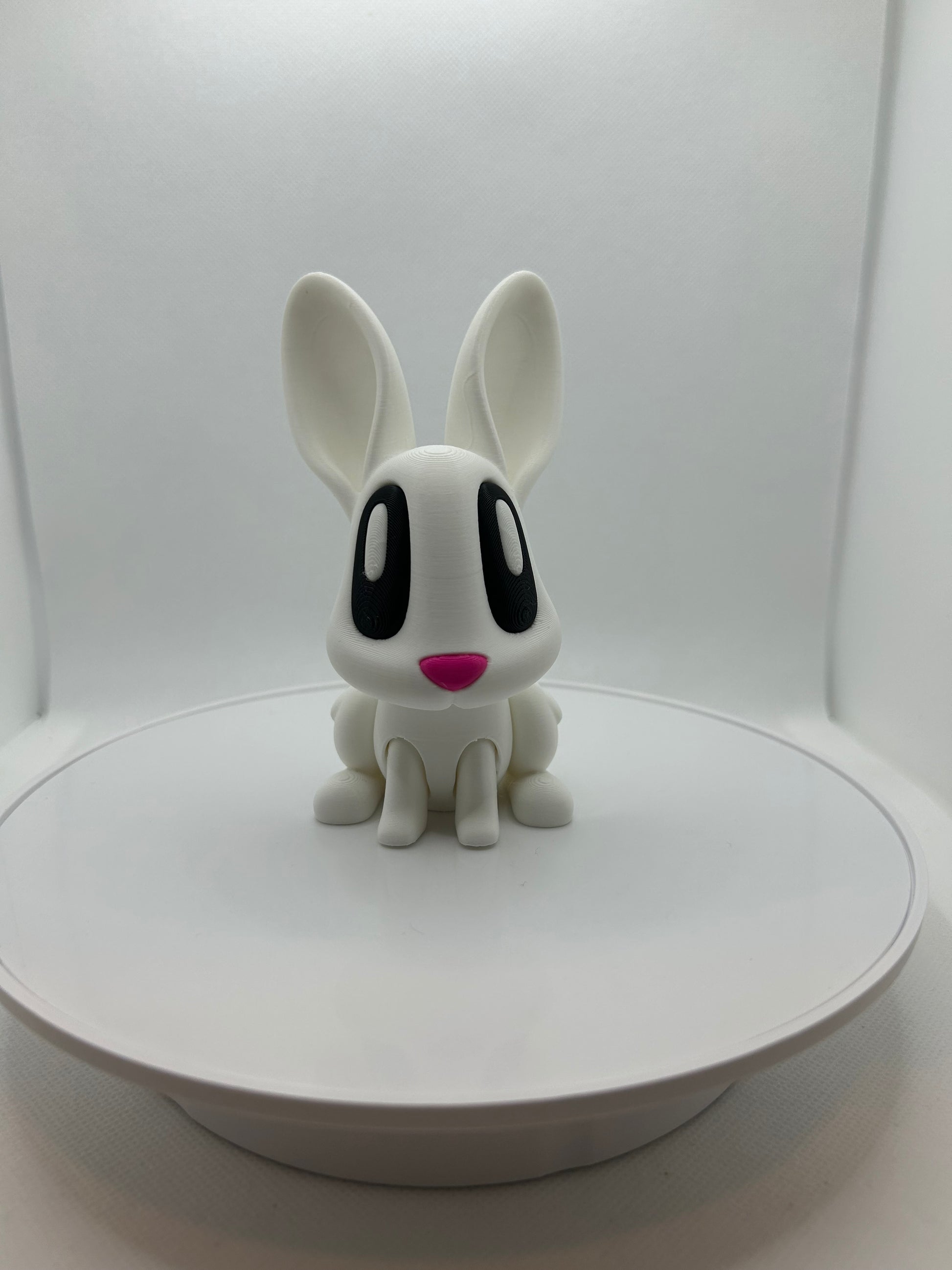 Cutest 3D Printed Bunny, Easter Gift, Amazing 3D Prints, Orleans, Ottawa,