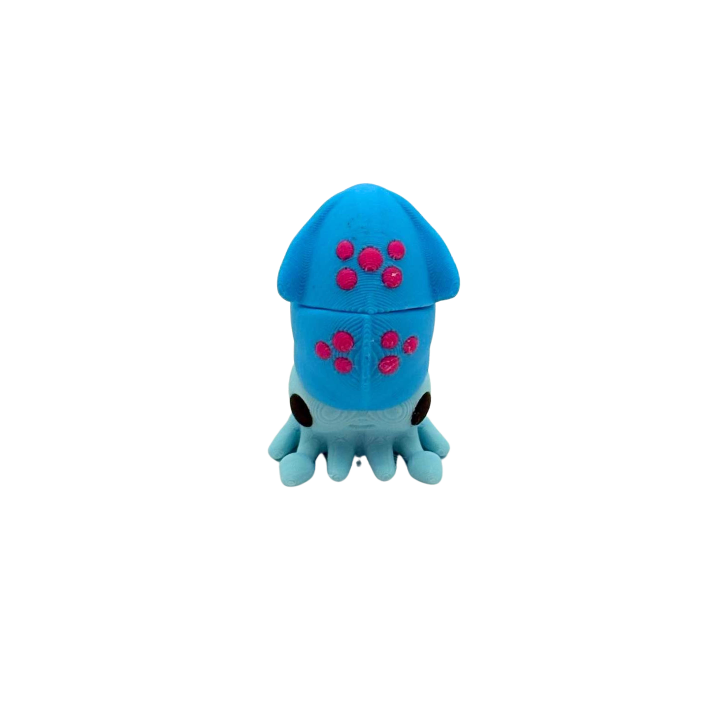 Squid