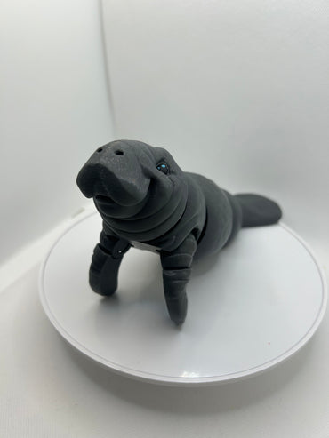 Manatee