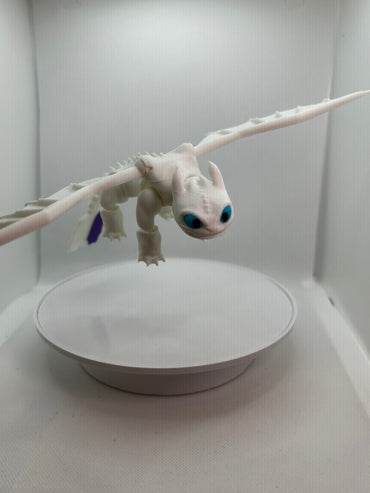How to Train your Dragon, White fury, 3D print, Ottawa Orleans
