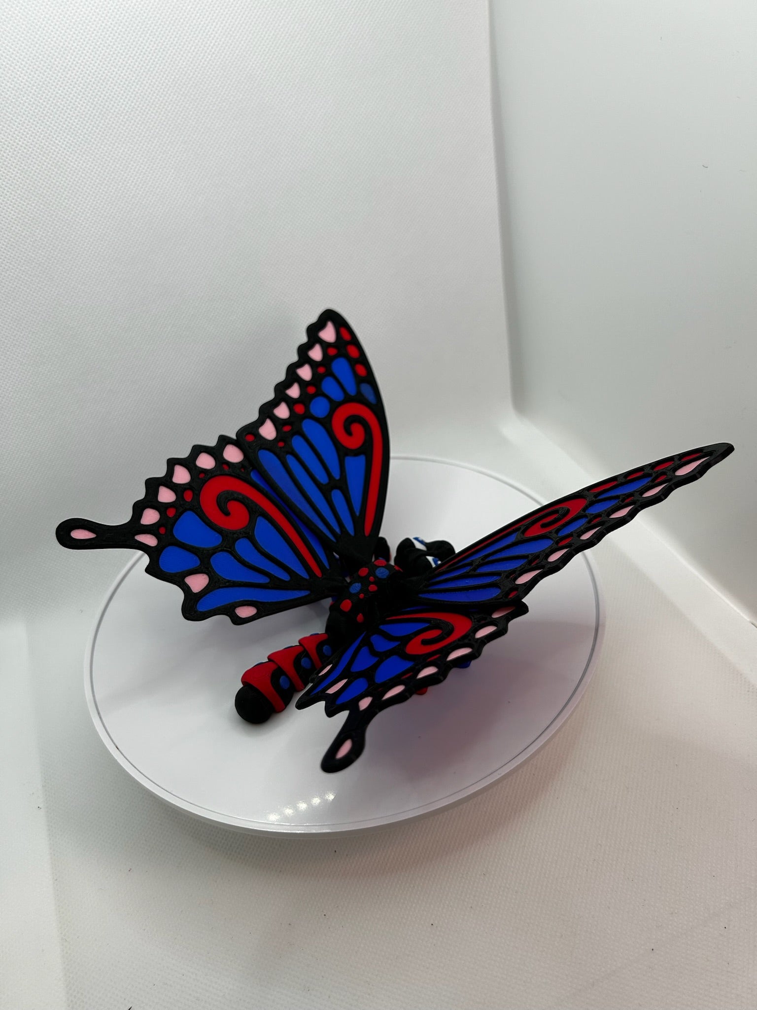 Colourful 3D Printed Butterfly, 3D Printed insect, insect, butterfly, cutest 3D Prints