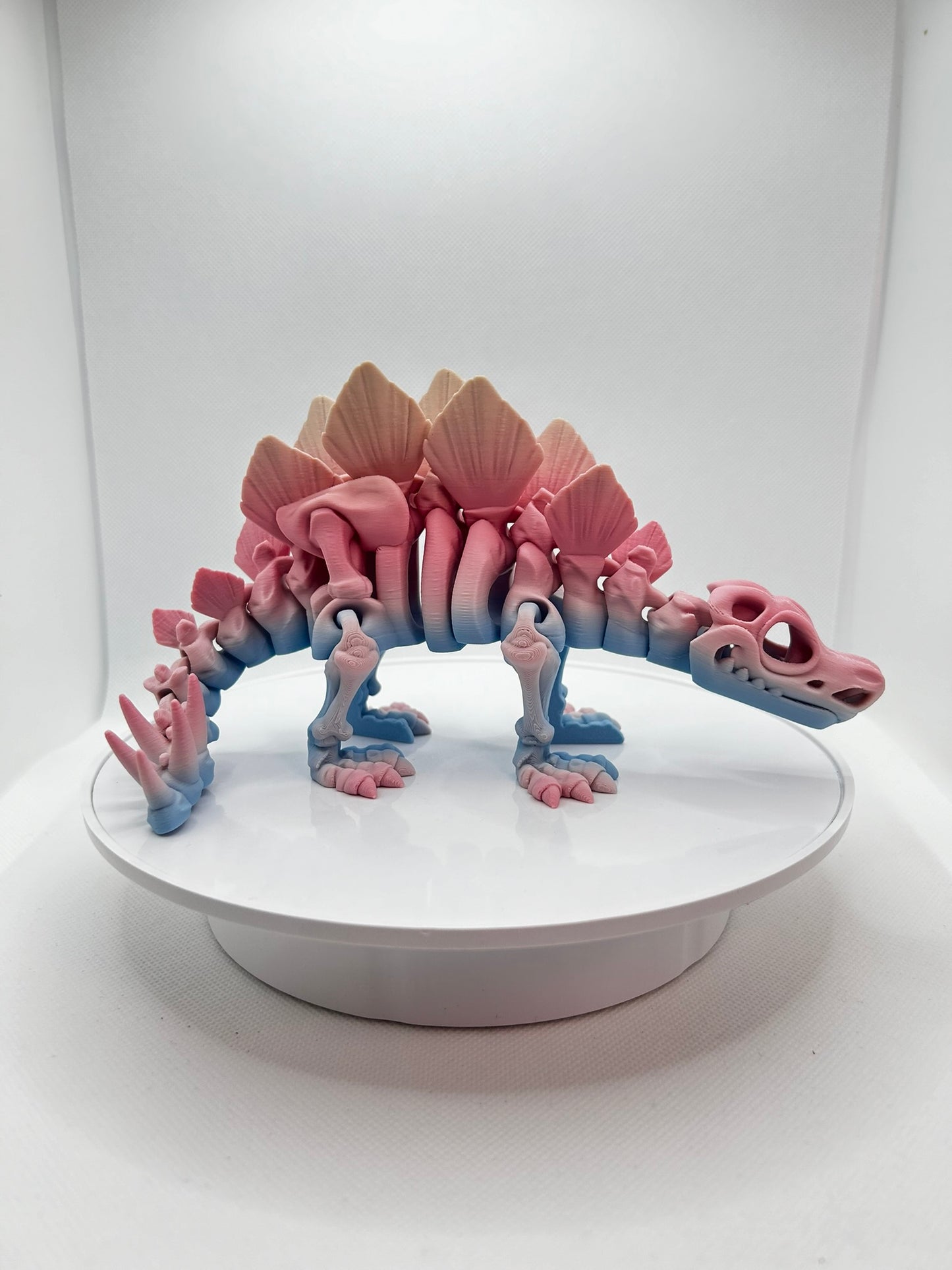 Stegosaurus