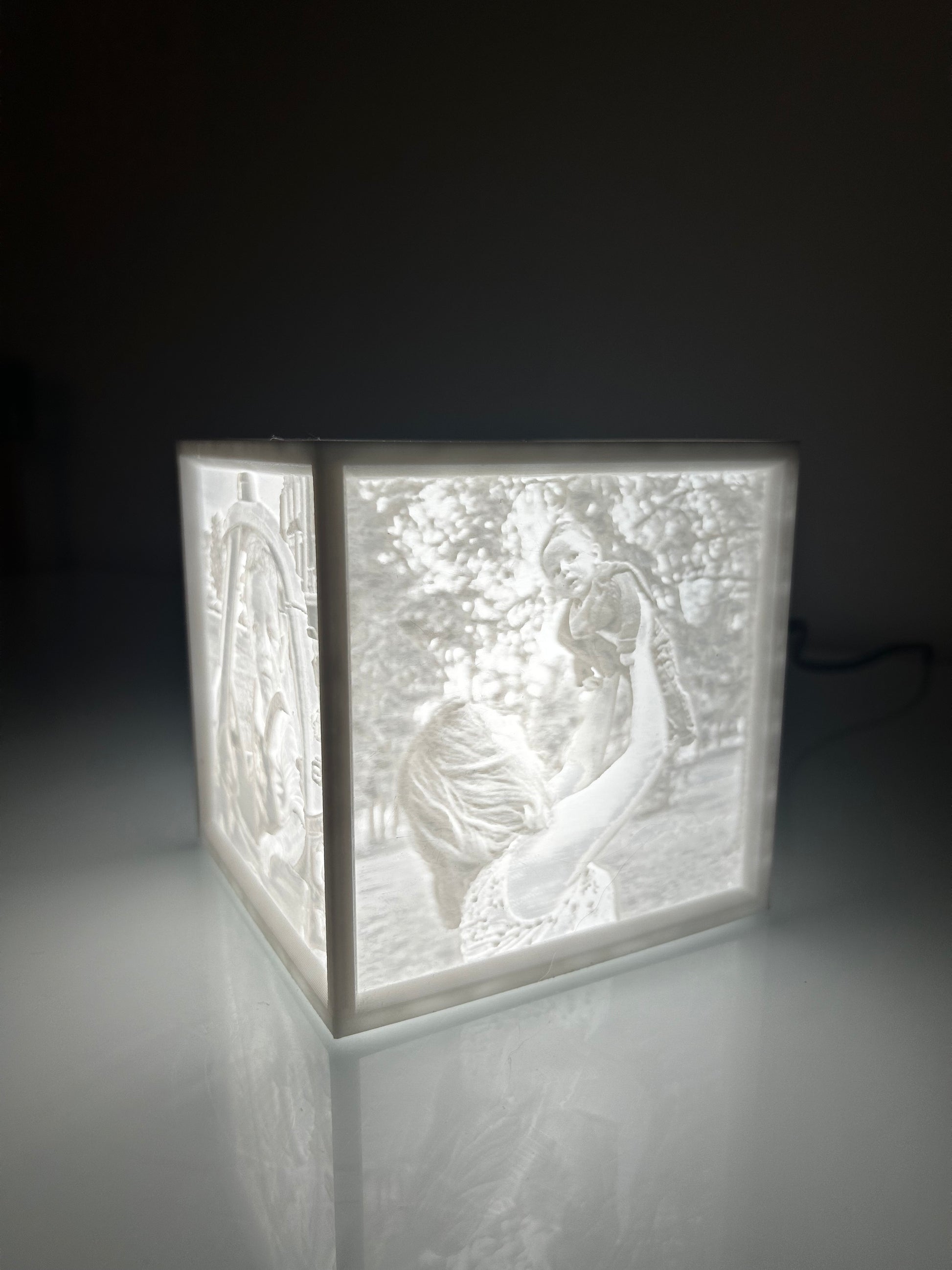 personalized light box, gift for wife, gift for girlfriend, gift for boyfrien, gift for husband, birthday gift, valentines day gift, christmas gift, anniversary gift, custom, light, 3d printed gift, 3d printed ottawa 