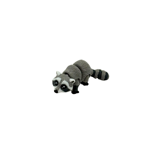 Raccoon