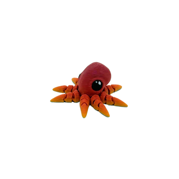Octopus