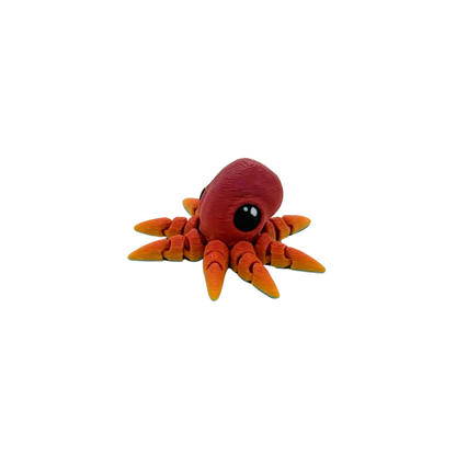 Octopus